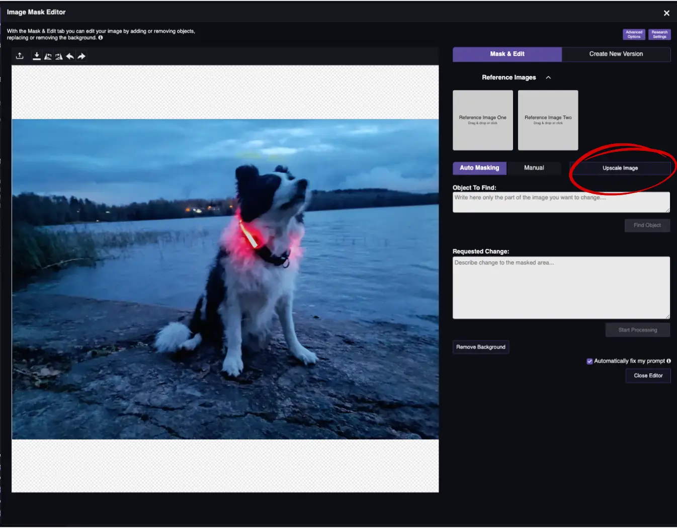 RogerApp.ai:n kuvaeditori: heikkolaatuinen matkapuhelinkuva koirasta valmiina AI-kuvan suurentamiseen
